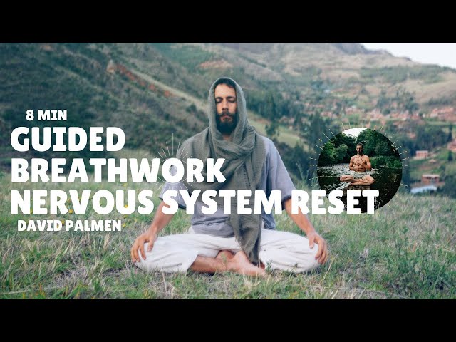 Energy Breathwork | 8 Min Balance & Ground Your Nervous System Naturally
