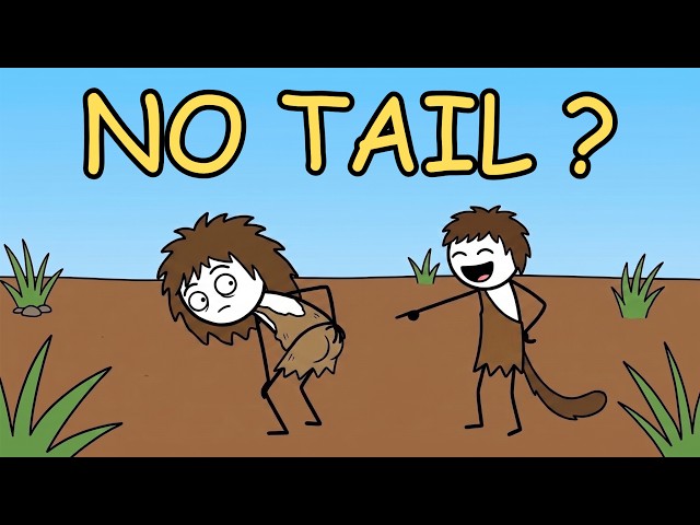 Why Humans Lost Their Tails ?