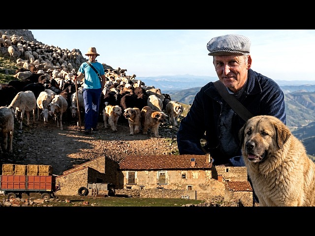 Viviendo COMO ANTES: así sobrevive una FAMILIA EN EL MONTE | Oficios y trabajos de Los Mengod