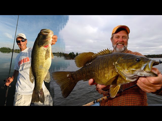 Largemouth vs Smallmouth Bass (The Basics)