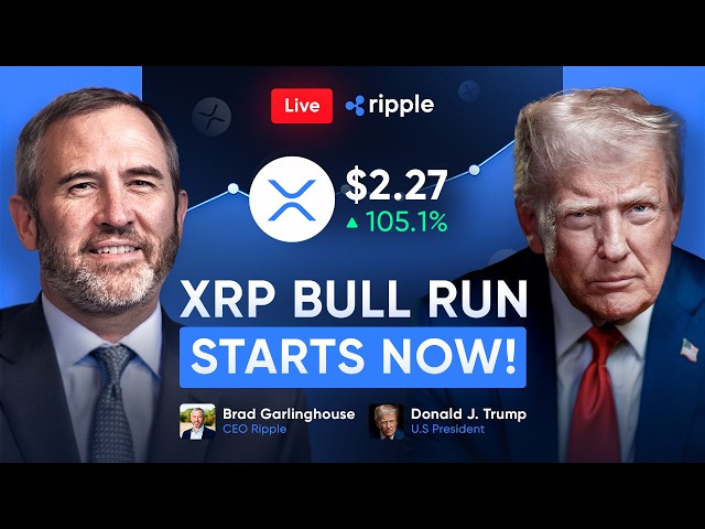 LIVE: XRP BULL RUN CONFIRMED! Donald Trump & Brad Garlinghouse Discuss Ripple