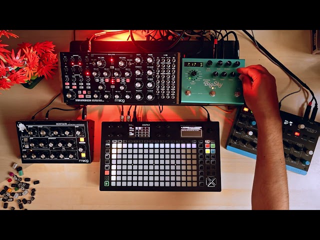 Warmonicon 🔥 (Moog Subharmonicon + Bigsky // Minitaur // Waldorf Protein // Squarp Hapax sequencer)