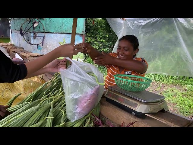 Alpitiya Cooperative is building a sustainable food system through local solutions (Sri Lanka)