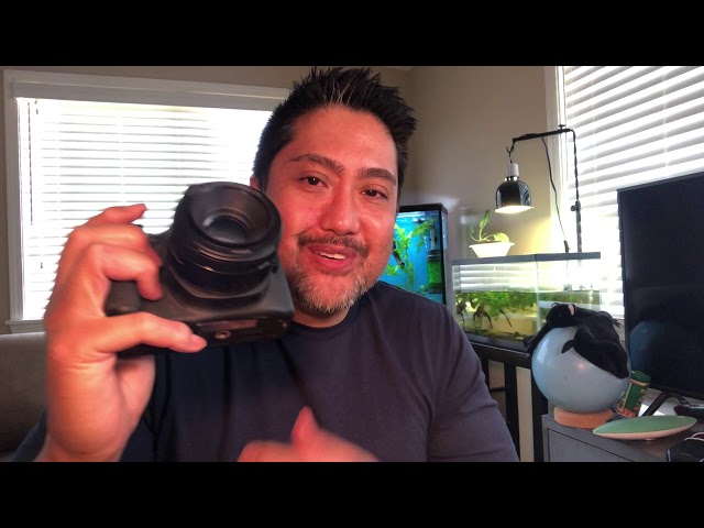 Pastel Highway Ball Python Unboxing