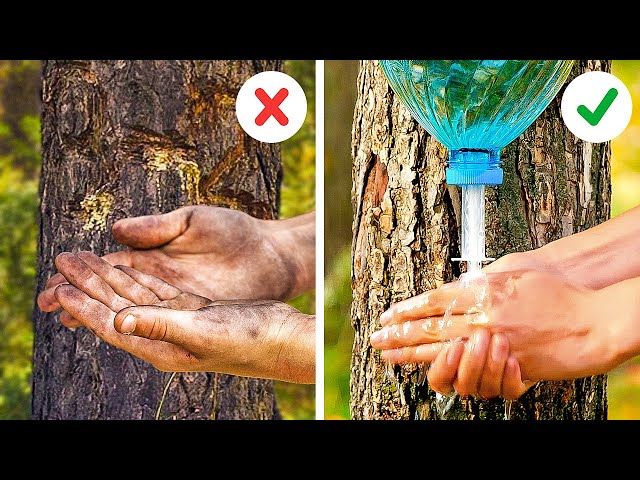 Simple Hacks And Crafts to Make Your Camping Trip More Enjoyable