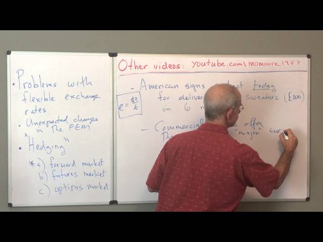 forward contracts and exchange rates basics 13