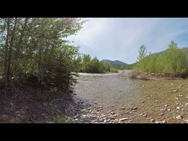 360° Big Creek Campground/Lake McDonald Part 2, Glacier National Park | Nature Retreat