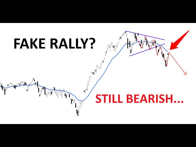 Technical Analysis of Stocks: SPY / QQQ / NVDA / TSLA / AMD / PLTR / HOOD / ORCL