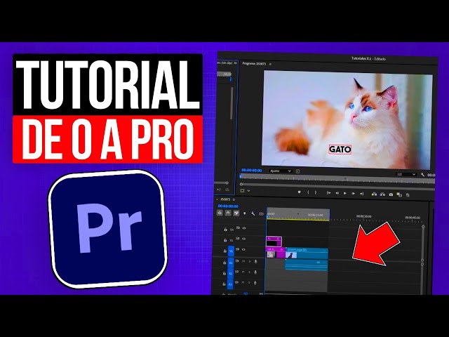 Como USAR Adobe Premiere Pro 2025 - Tutorial Sencillo y Completo