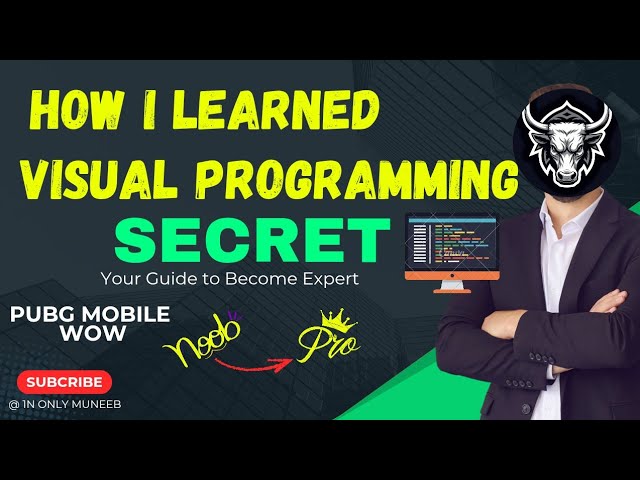 How I Become Expert In Visual Programming | @1NONLYMUNEEB-yt | #PUBGMWOW 