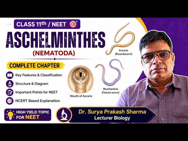 Class 11 + NEET Aschelminthes