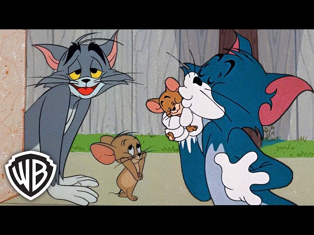 wholesome moments to cure your Sunday scaries 🥹 | Tom & Jerry | @GenerationWB