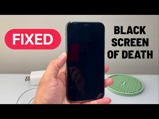 iPhone 11 Black Screen Of Death (FIXED)