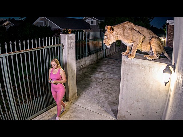 Luckiest People Ever Caught on Camera!