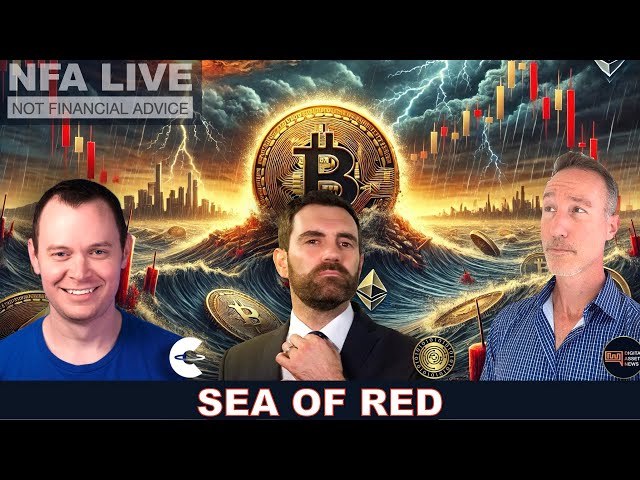 NFA LIVE: Crypto Red Sea.