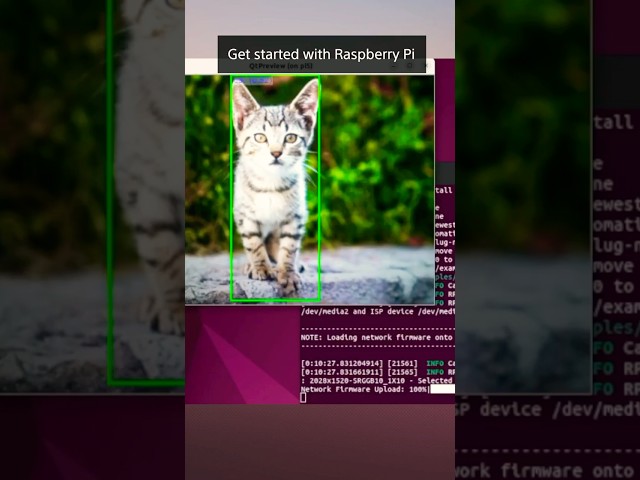 Your quick guide on Raspberry Pi AI Camera Object Detection #raspberrypi  #objectdetection