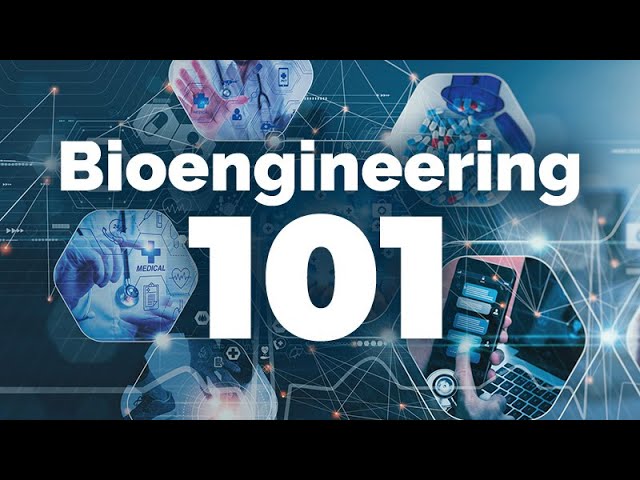 The Impact of Bioengineering