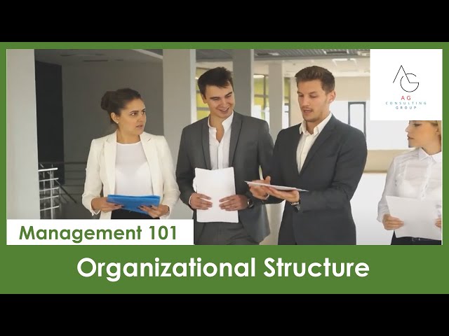 Management 101 -  Organizational Structure