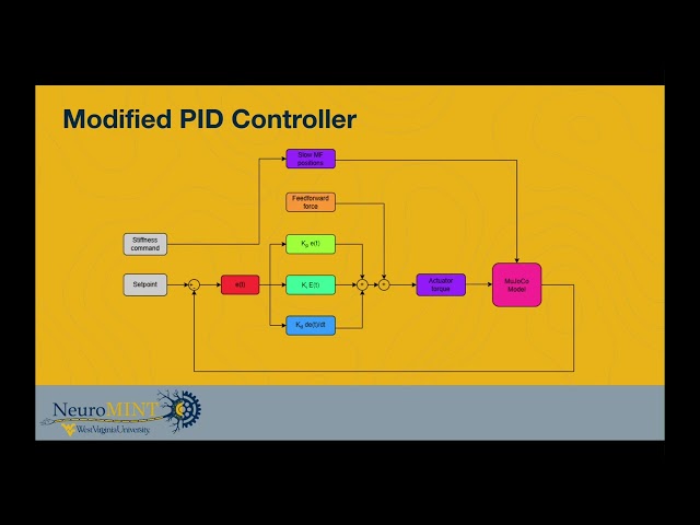 A PID Controller for Efficient Position and Stiffness Control of a Bio-Inspired Actuator