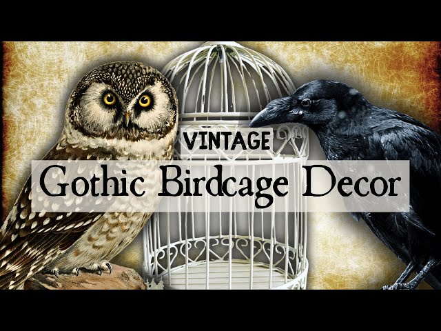 Gothic Birdcage DIYs 🖤 Ravens, Owls & Dark Victorian Decor Ideas