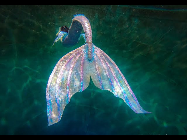 Extra longfish effect Real mermaid Tail