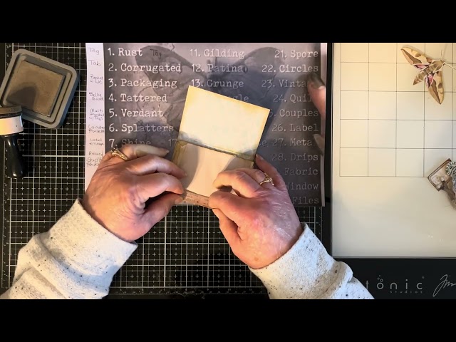 #mothsinthescrattic  Spark 