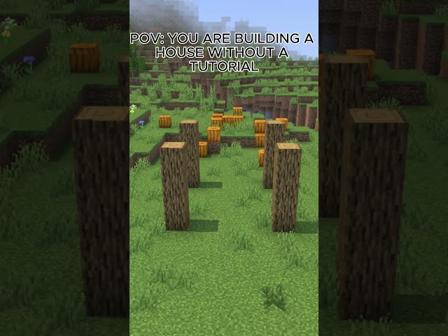 POV: YOU ARE BUILDING A HOUSE WITHOUT A TUTORIAL #minecraft #minecraftedit