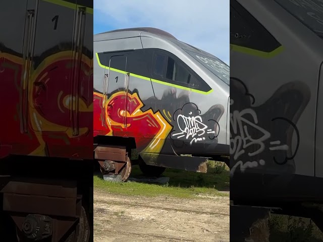 Inside Portugal’s Abandoned Trainyard… We Found This!  #AbandonedTrainyard   #Portugal   #UrbanExplo