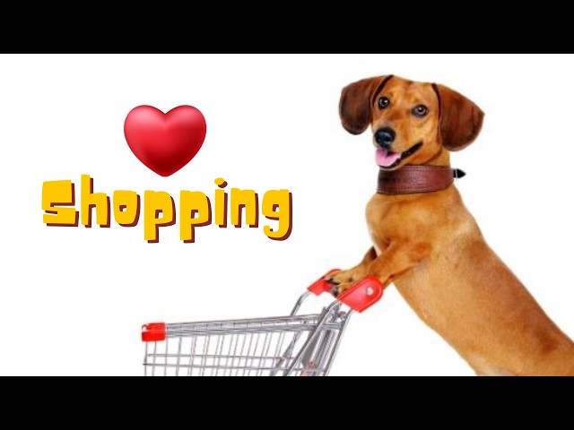 LIVE Shopping: Batteries, Lav Mics & Random Stuff