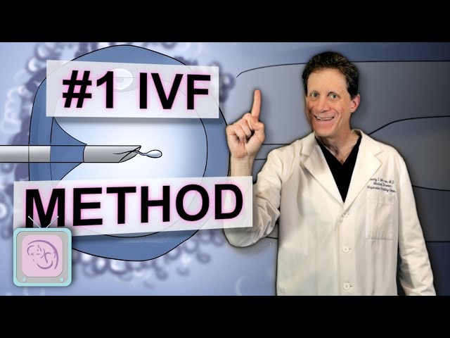 ICSI - Is it your key to IVF success?
