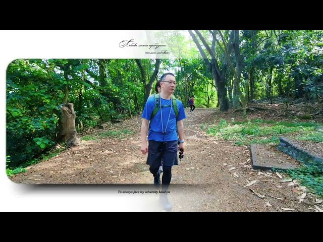 療癒系森林浴！1分鐘帶你走訪「田中森林公園步道」健行/賞景一次滿足