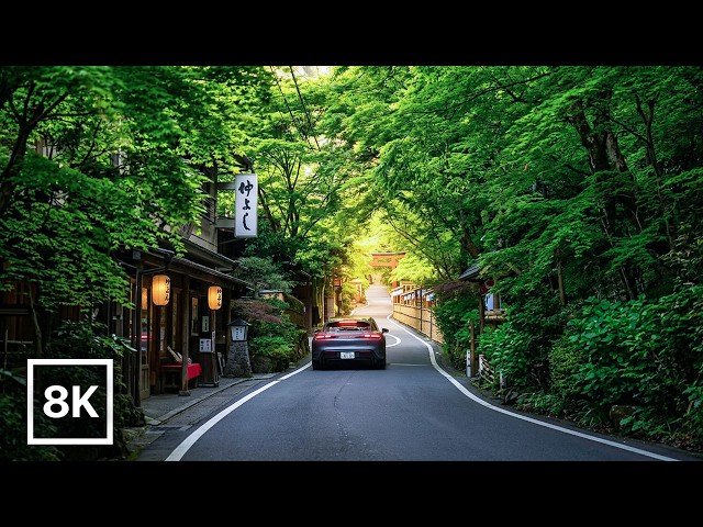 Kyoto Hidden Valleys Drive 🌿 Arashiyama to Kibune / 8K 60fps HDR / Relaxing Piano