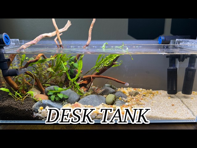 UNS 45L Desktop River Aquascape