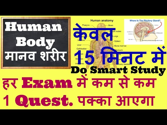 General Science for Competitive Exams: Human Body Facts for SSC, Bank, and All Government Exams |...