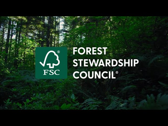Introducing FSC: Ensuring Forests for All, Forever