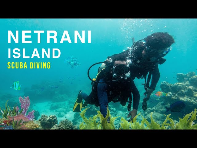 Scuba Diving in Netrani Island | Murudeshwar | Karnataka