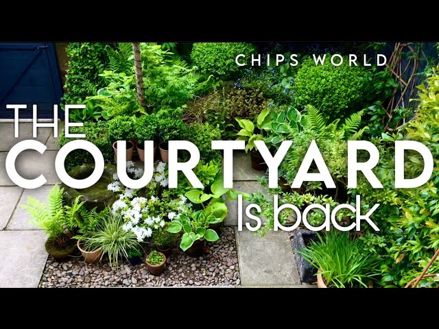 Design Creating a Magical Courtyard Garden: #backyardmakeover #smallgardenideas
