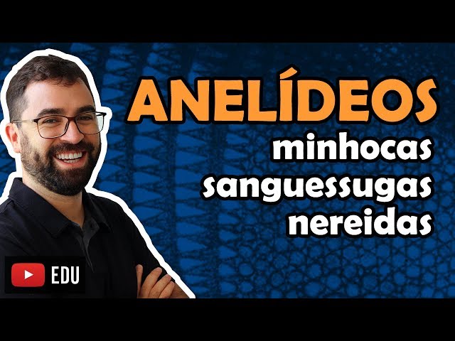 Annelids - Class 18 - Module VI: Zoology | Prof. Guilherme
