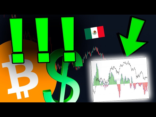 TODOS LOS TRADERS DE BITCOIN TIENEN QUE VER ESTE GRÁFICO
