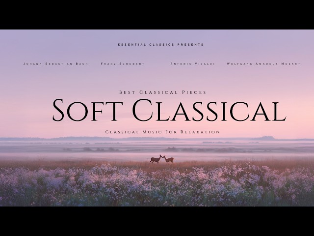 Soft Classical Music For Relaxation