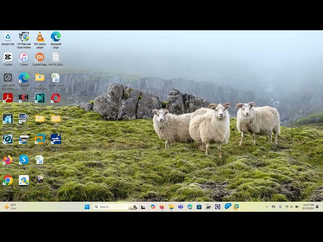 Installation of Distributed File Systems