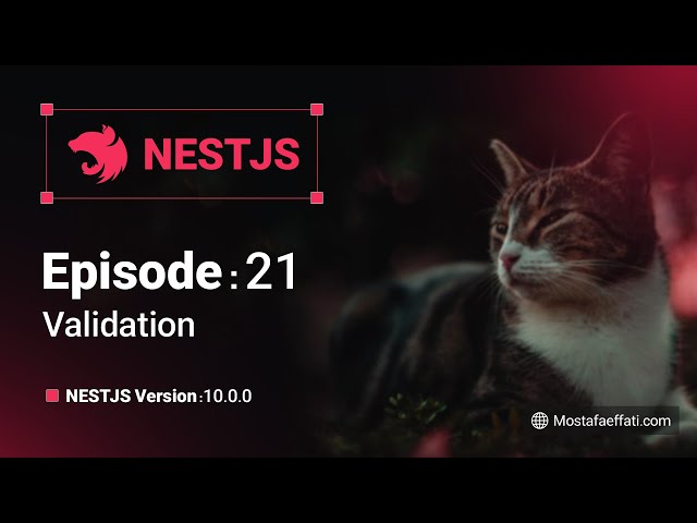 21 | Validation