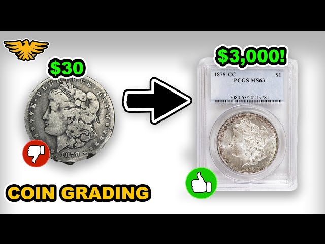 EXPERT EXPLAINS: How does Coin Grading Work??