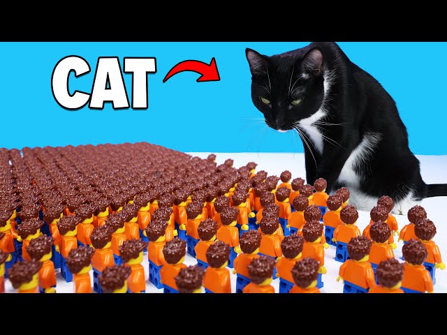 1,000 LEGO Minifigures vs Cat