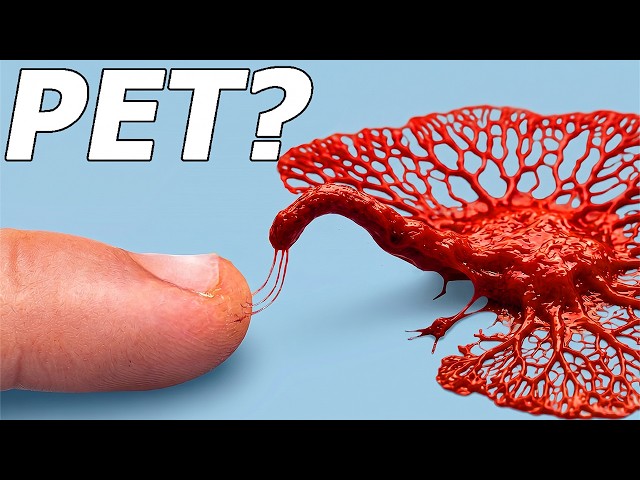 I Hatched a Pet Alien... (seriously)