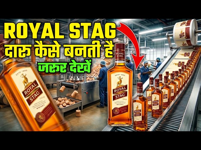 Royal Stag दारू कैसे बनती है? 😳 Factory का कड़वा सच | Whisky Manufacturing Process
