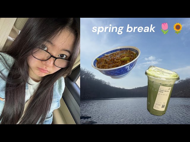 SPRING BREAK vlog!! 🌷🌻- hanging out with friends, chill days, lots of good food
