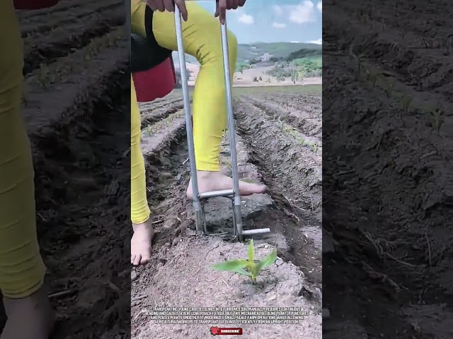 Manual Seed Transplanting Tool: Agricultural Hole Digger for Efficient Stand-Up Planting #ToolHolder