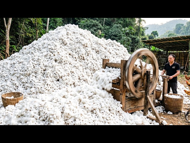 Primitive Skills: 5 Years of Hard Work… This Hand Cotton Gin Changes Everything
