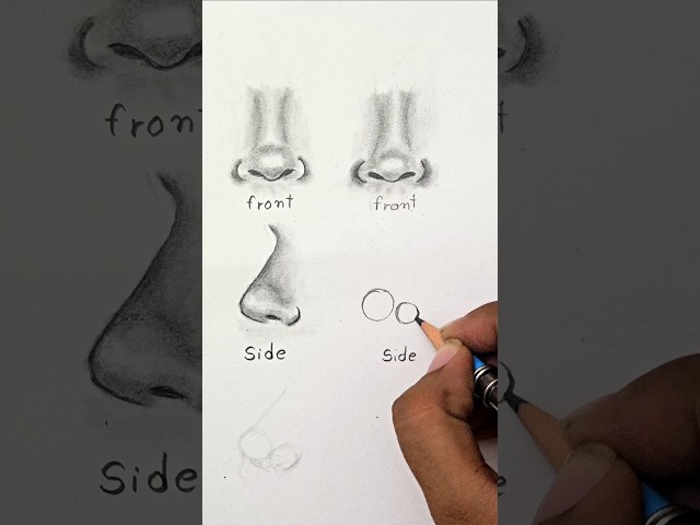 How to Draw Nose ✨️ (front and side view) #shorts #drawing
